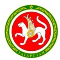 Комитет по защите прав инвалидов по РТ